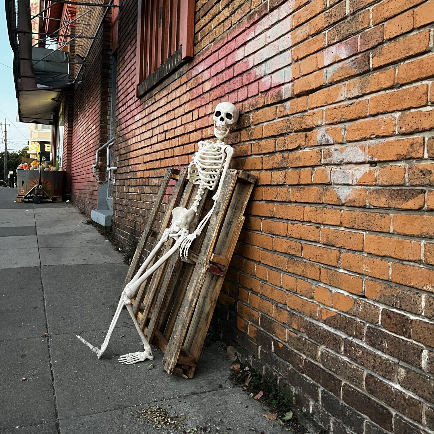A skeleton mannequin leaning against a brick wall the a city street